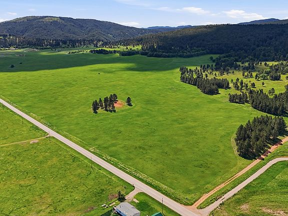 High aerial of the 120-acre parcel showing a small pine cluster in the center of open pasture, dirt access lane at right, and the long ridge of the Northern Black Hills along the horizon