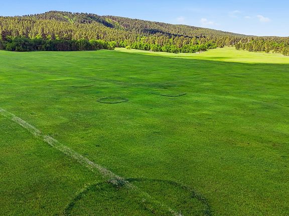 Ground-level view of green pasture with shallow circular tracks worn into the grass, a wheel track curving toward the foreground, and a continuous pine ridge across the horizon