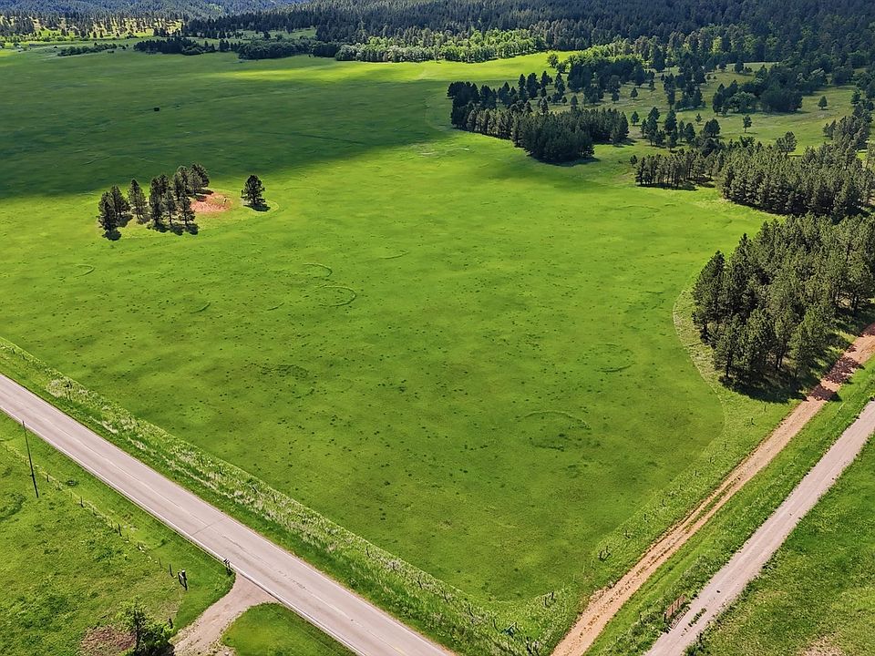 Aerial view of 120-acre rolling green pasture at 11877 Crook City Road with paved road frontage, a cluster of pine, and a ponderosa-pine forest border along the Northern Black Hills horizon